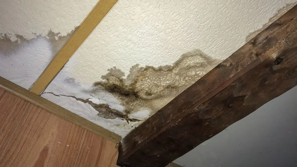 Water-stained ceiling beside a wooden beam