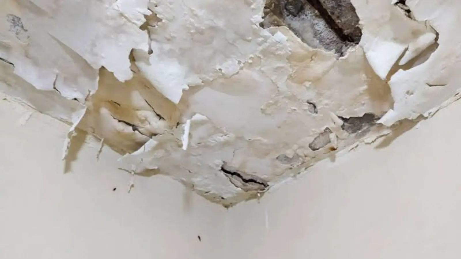 Peeling paint and cracked drywall at a ceiling corner