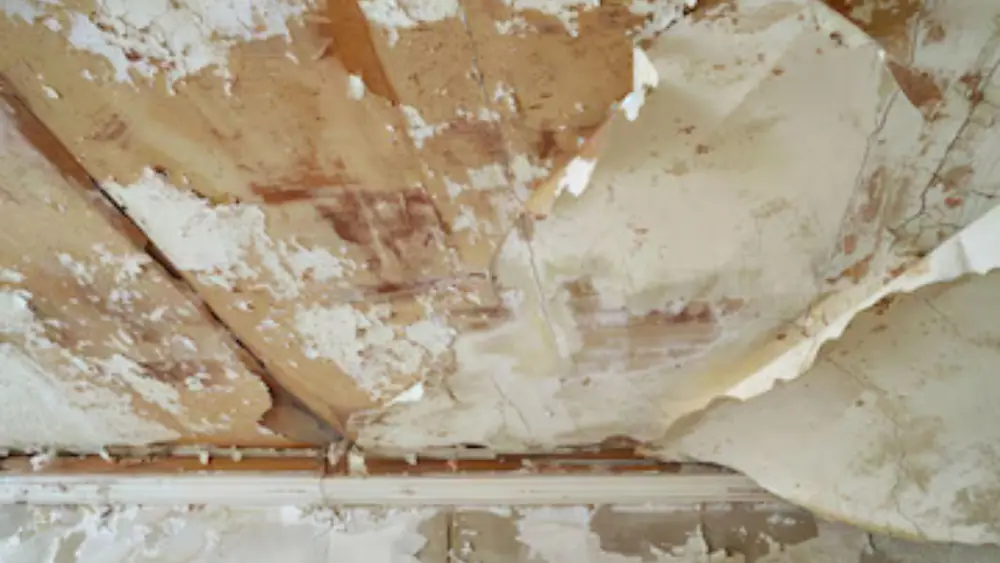 Peeling paint and water-stained ceiling panels