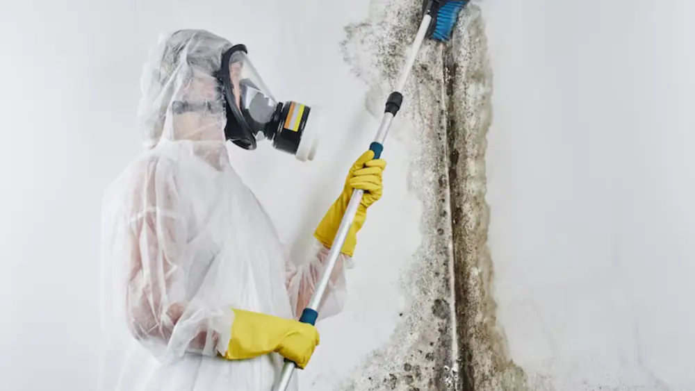 Worker in a respirator and protective suit cleaning a mold-streaked wall with a pole