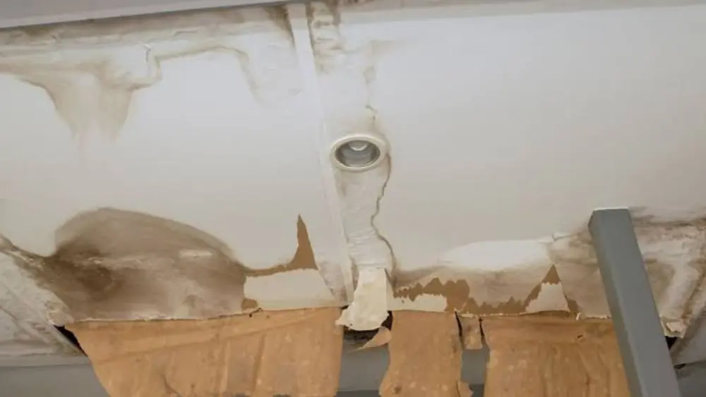 Water-stained ceiling with peeling paper around a round fixture